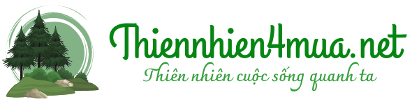 logo-thiennhien4mua