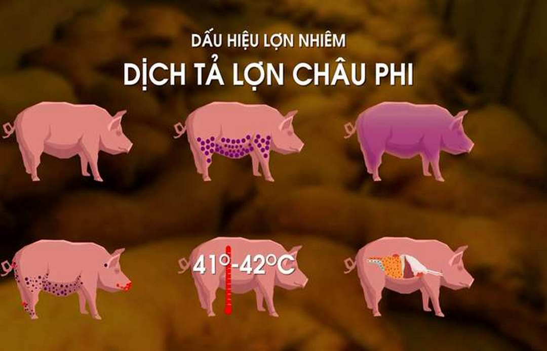 Những dấu hiệu bị bệnh 