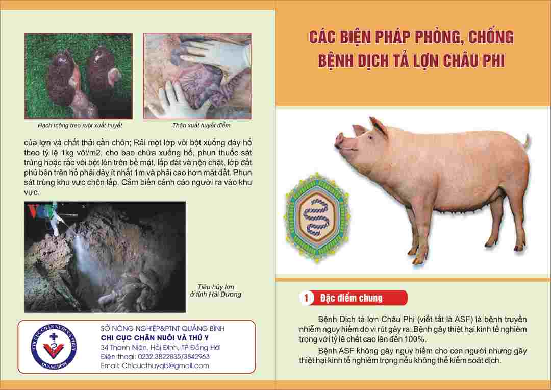 Thực hiện nghiêm ngặt những biện pháp để phòng tránh bệnh 