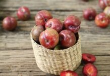 Quả Mận bao nhiêu calo? Ăn mận có béo không? Hỏi đáp Quả Mận bao nhiêu calo? Ăn mận có béo không? Hỏi đáp